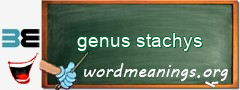 WordMeaning blackboard for genus stachys